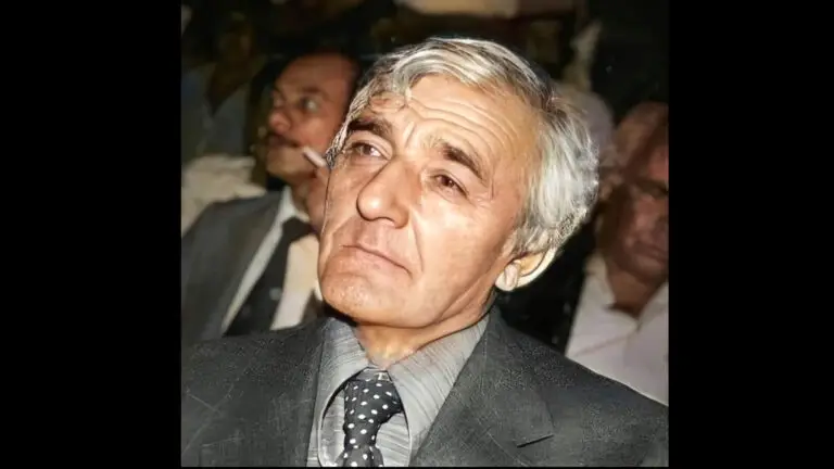 distinguished man with gray hair